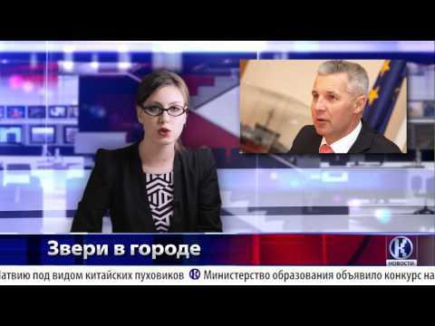 Чё там у латышей
