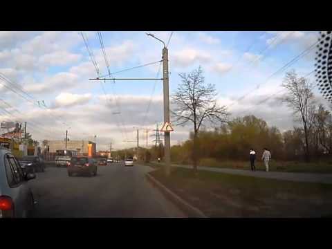 Торопыга-шашечник