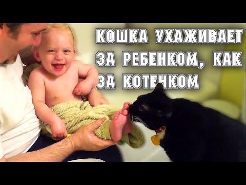 Кошка ухаживает за ребенком, как за котенком