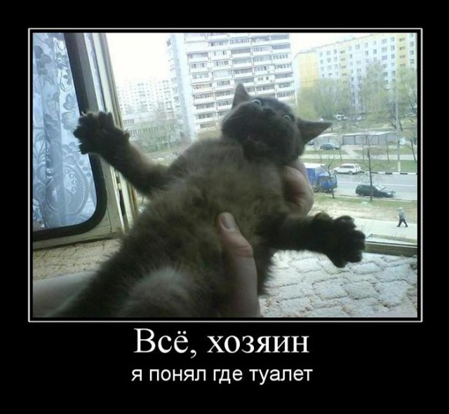 Пятничная подборка демотиваторов 