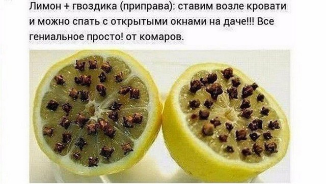 Актуальный совет к лету