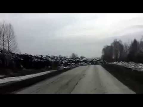 "Живая" земля в Кемеровской области