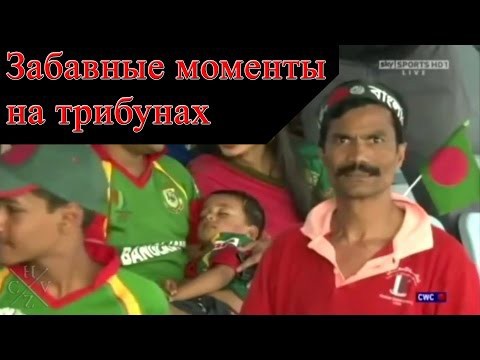 Забавные моменты на трибунах