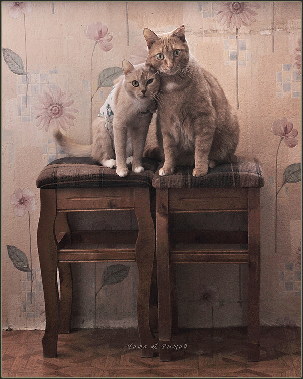 Семейное фото