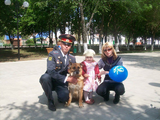 Овчарка Елга: спасала солдат в «горячих» точках, а умерла от рака