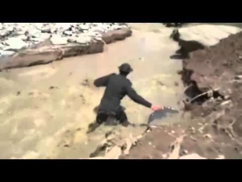 Полицейские спасли собаку 
