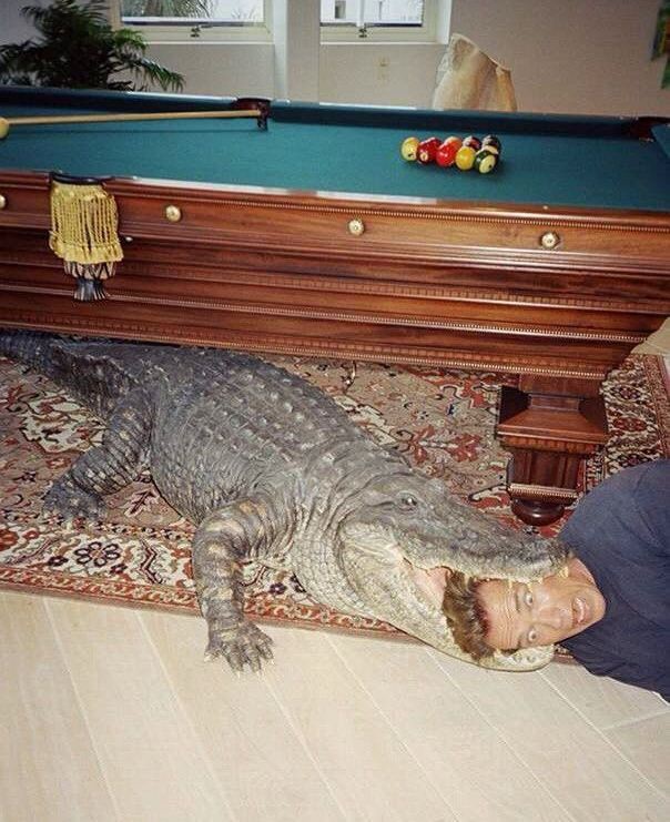 Редкие кадры, открывающие историю с другой стороны 