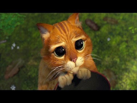 Коты и пылесос