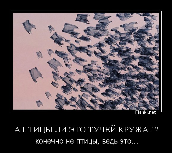 А птицы ли это тучей кружат ?