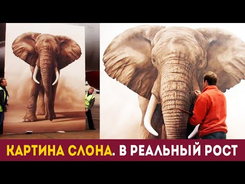 Художники нарисовали слона в реальном масштабе