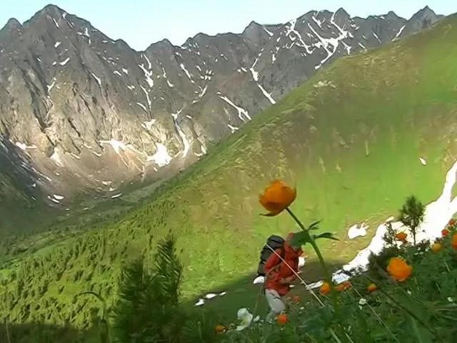  Продолжение прогулки по Горному Алтаю