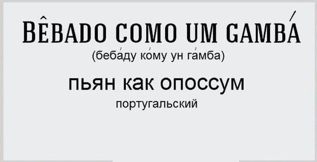 Пьян в драбадан, в стельку и другие состояния опьянения на 16 языках