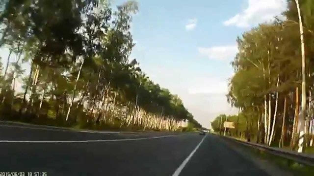 Встеча с дроздом