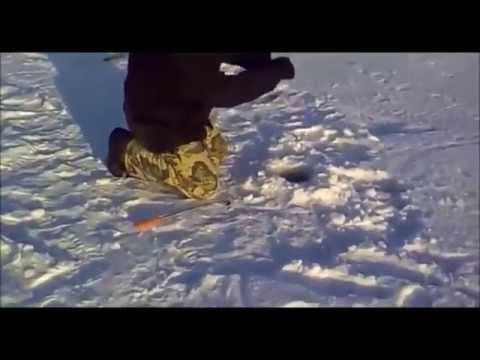 Рыбаки охренели от рыбы которую поймали 