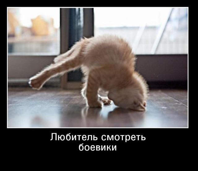 19 лучших демотиваторов о хобби