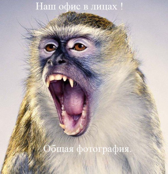 Знакомимся с сотрудниками типичного офиса