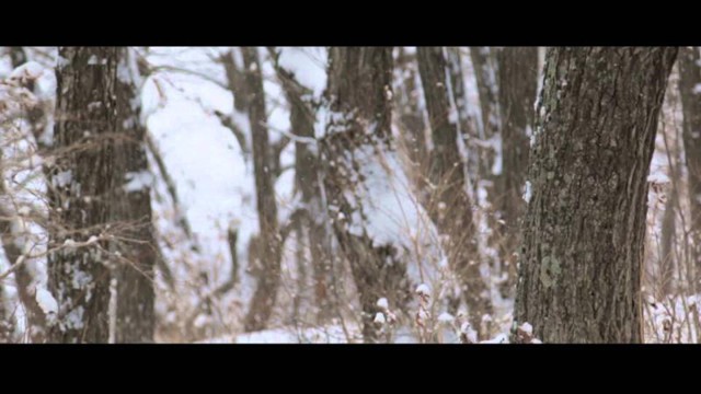Красивое видео!