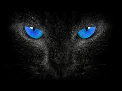 Лучший друг и защитник ребенка