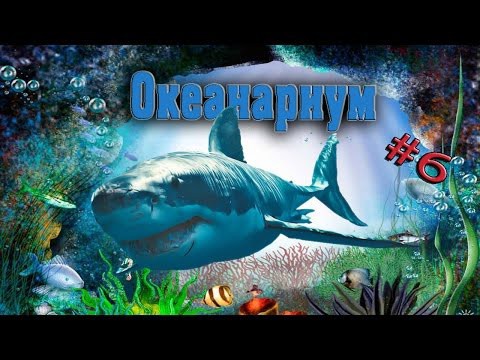 Океанариум Анапы, акулы!