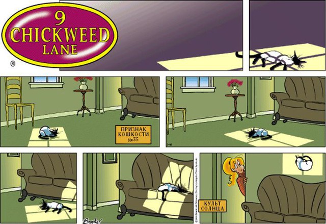  20 лет самому крутому комиксу о котиках