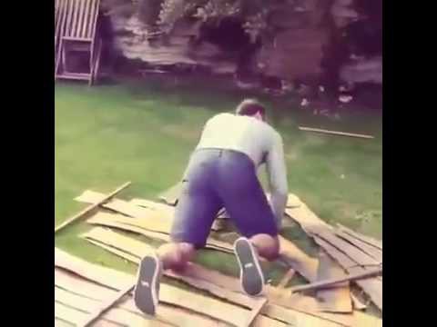 Как баран на новые ворота