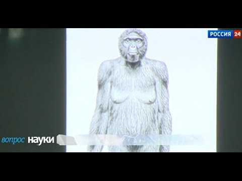 Продолжается ли эволюция ???