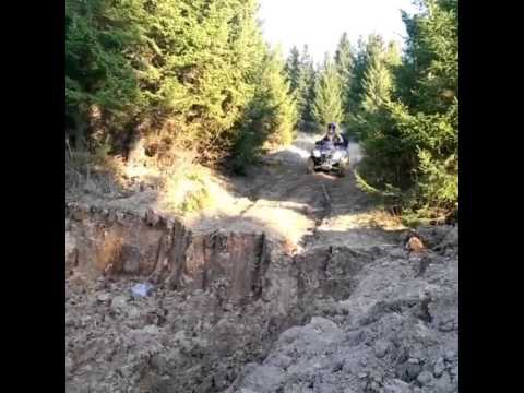Газу Серый, газу! 