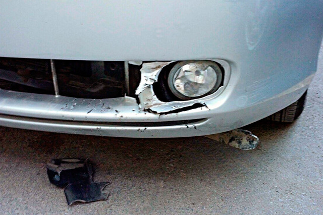 Собаки съели «Тойоту»