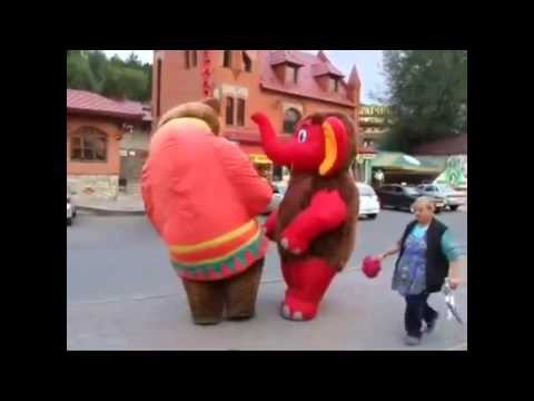 Прикол!Самая смешная драка!Слон vs медведь