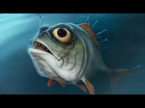 Кот - рыболов