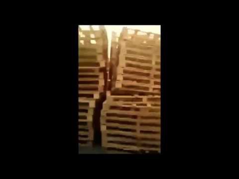 Прикол с Нелегалами 