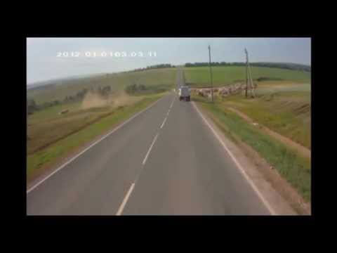 Осторожно шашлык на дороге