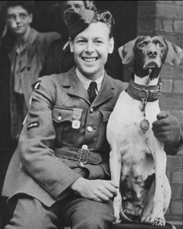 Джуди: История единственной собаки-военнопленного