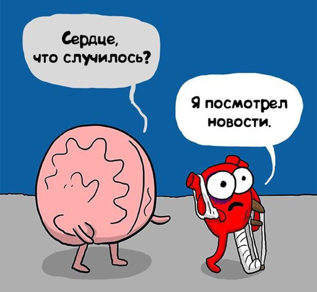 Сердце и разум