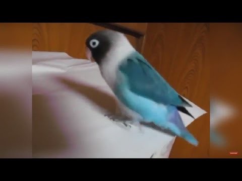Ирландский танец