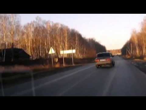 Коты чувствуют беду