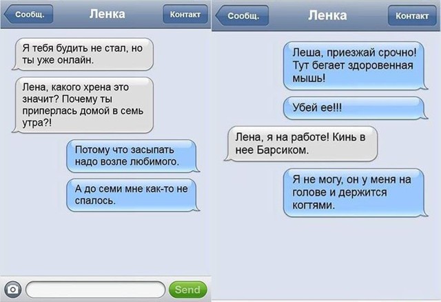 Позитивная СМС переписка 