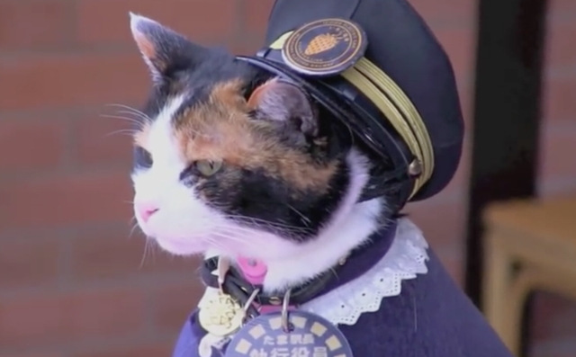 Вице-президент, спаситель, легенда