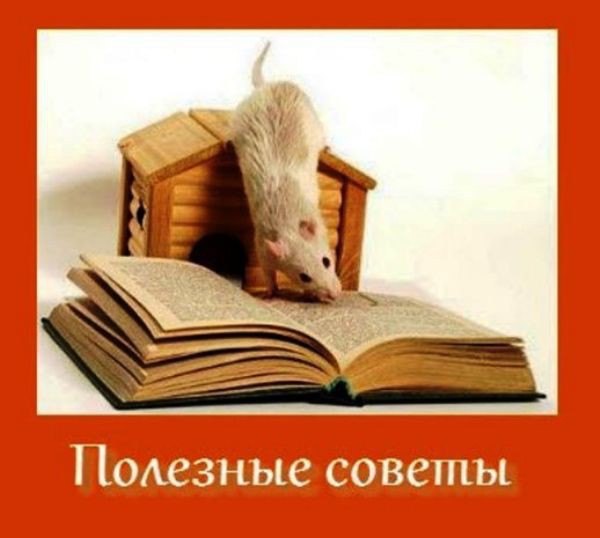 Полезные советы
