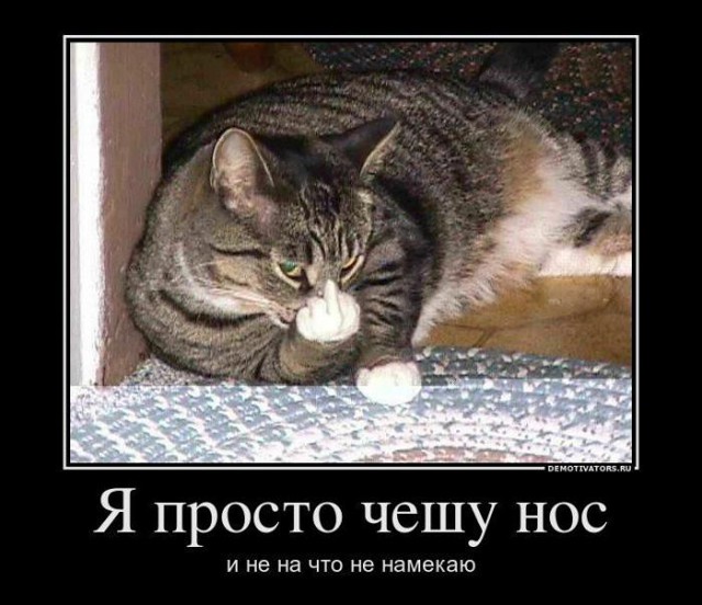 Демотиваторы