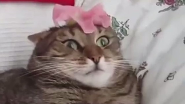 Лучшие неудачи прошедшей недели 