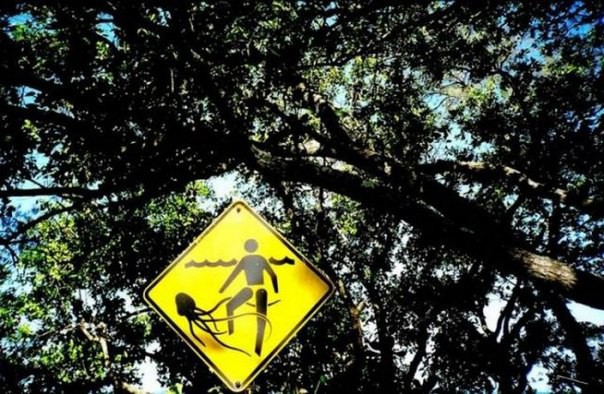 8 самых опасных пляжей мира   . На первый взгляд очень спокойные места