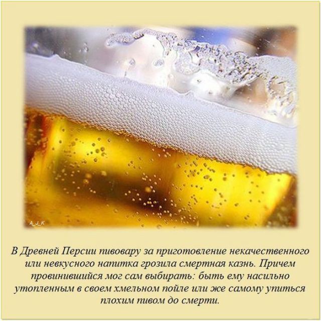 Интересные факты 