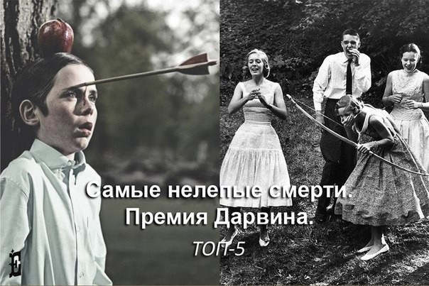 Самые нелепые смерти. Премия Дарвина. Топ-5