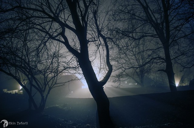 Мистическая ночь в селе во время тумана