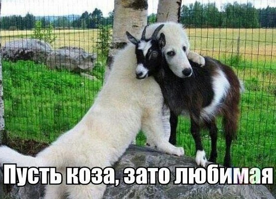   Любви и нежности пост. Часть 1