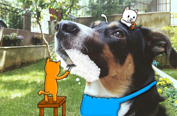 Игры с фотографиями незнакомцев