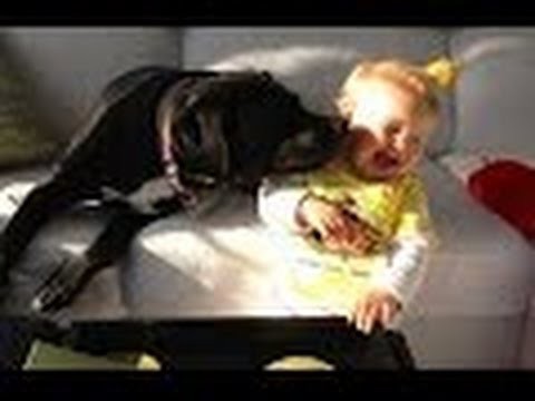 Дети и животные