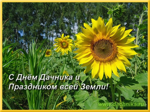 С праздником, дорогие дачане! Ой, опечатка... Дачники!