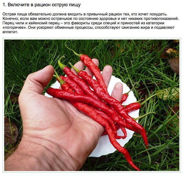 10 полезных привычек здорового человека